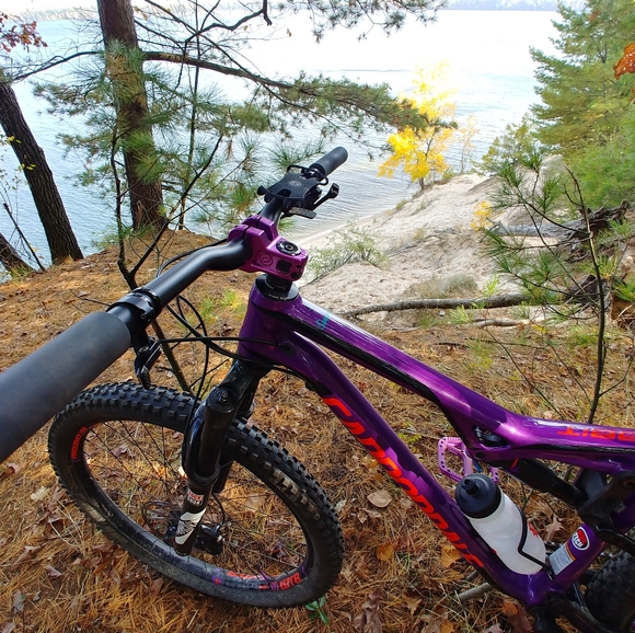 ⭐ ABOUT SE! ⭐ - Picture 7 of 8